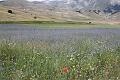 Castelluccio_2009_0379