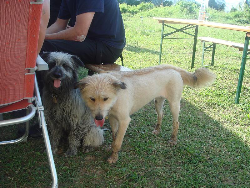 DSC01724.JPG - Fombeton - Eli & Friends