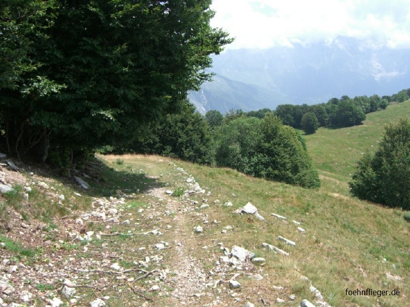 736_67.jpg