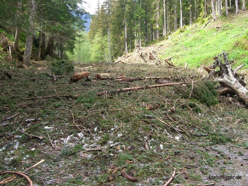 Leogang2009_095.JPG