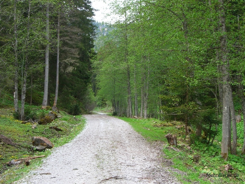 Leogang2009_101.JPG