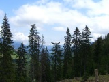 Leogang2009_109.JPG