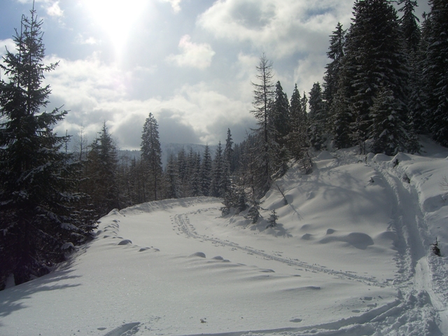 Leogang_022010_038.JPG