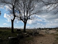 11611DA6-1F8F-4415-A025-5C56AA7E2706