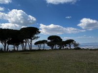 538A1824-6371-48B8-B075-6FA05FCE815A