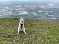 AE4E5244-7D0D-4764-9D53-0D668D50EF83