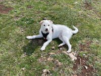 B45066CF-CCA1-41AD-95D1-D1D70DC41049