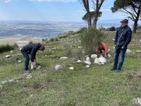 C16FB452-3B36-4E56-AB06-6FB281A1D794