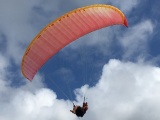 IMG_4979.jpg