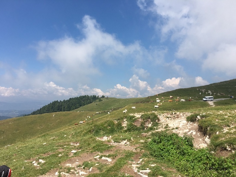 IMG_5330.JPG