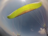 IMG_5193.JPG