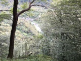 IMG_5287.JPG