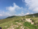 IMG_5330.JPG