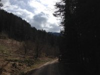 Schoenberg 120415 19