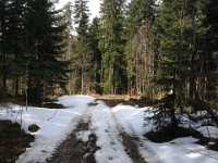 Schoenberg 120415 24