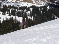 Schoenberg 120415 34