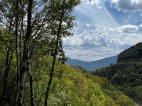 22D4B644-35F1-4B21-89E9-90E87DEBD0F1