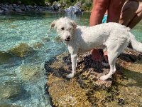 97415B8C-A66C-4EE6-8481-08784FF9C61C