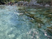 A376BCE5-AD50-4324-B753-84DDEBAD59DA