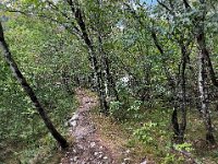 A4EF2973-D16F-4AA3-860B-1D427BBE73D9