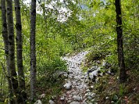 ADA3C101-E27E-47AE-BA55-9F0406D2CA2D