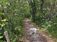 C4EA820A-1710-4D09-B1ED-48059B51ADEC