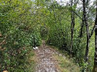 FF92662E-016B-4DBE-81EF-212927AB3280