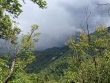 Sommer 2014_033