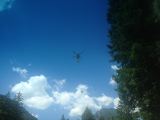 Sommer 2014_052