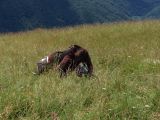 Sommer 2014_019