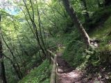 Sommer 2014_030